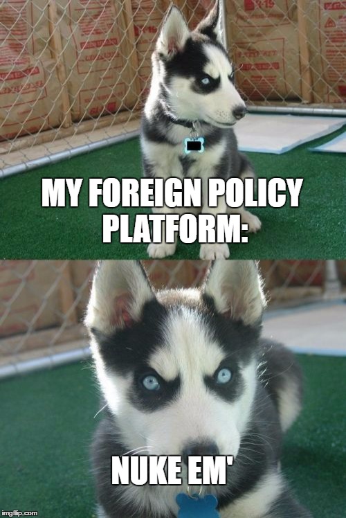 Insanity Puppy 2016 | MY FOREIGN POLICY PLATFORM:; NUKE EM' | image tagged in memes,insanity puppy | made w/ Imgflip meme maker
