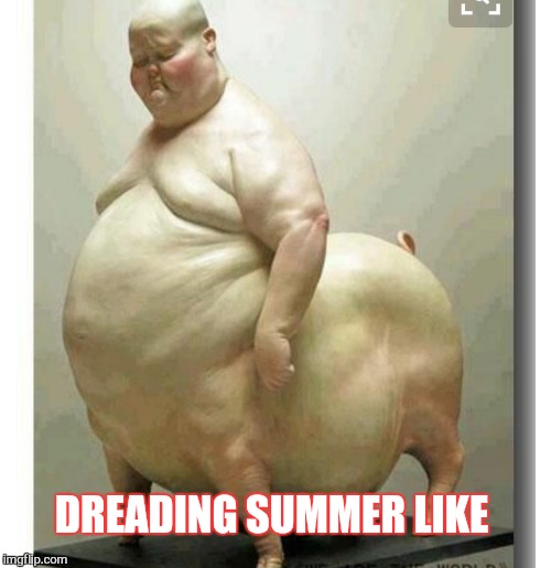 DREADING SUMMER LIKE | image tagged in my body is ready,memes | made w/ Imgflip meme maker