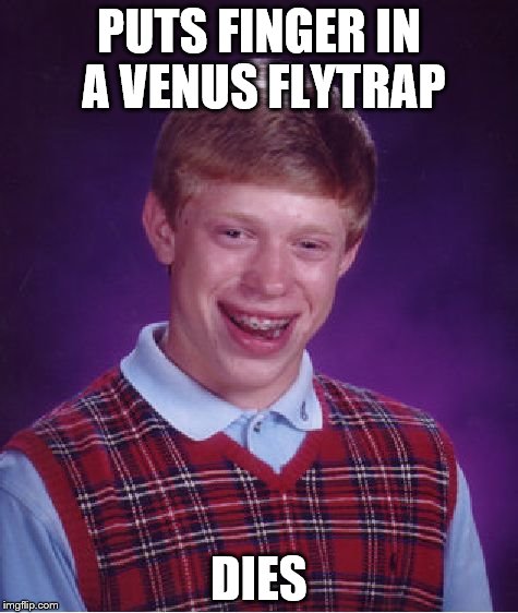 Bad Luck Brian Meme | PUTS FINGER IN A VENUS FLYTRAP; DIES | image tagged in memes,bad luck brian,venus fly trap | made w/ Imgflip meme maker