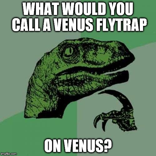 A Venus flytrap presumably... | WHAT WOULD YOU CALL A VENUS FLYTRAP; ON VENUS? | image tagged in memes,philosoraptor,venus fly trap | made w/ Imgflip meme maker