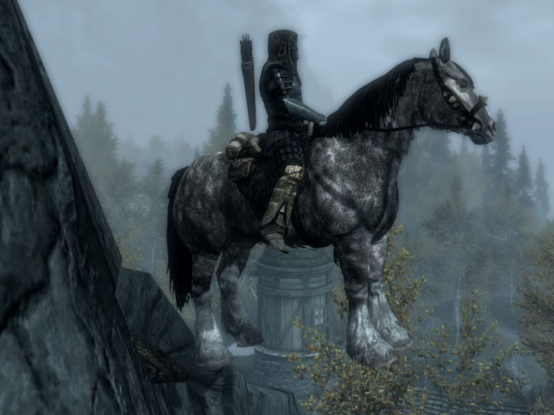 Skyrim Horse Blank Meme Template