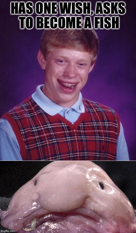 All he wanted was to breath under water... | HAS ONE WISH, ASKS TO BECOME A FISH | image tagged in bad luck brian,fish,meme,funny | made w/ Imgflip meme maker