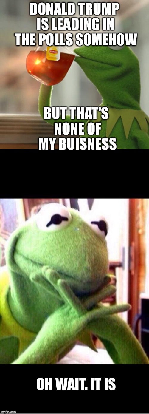 America is doomed | DONALD TRUMP IS LEADING IN THE POLLS SOMEHOW; BUT THAT'S NONE OF MY BUISNESS; OH WAIT. IT IS | image tagged in donald trump,kermit the frog | made w/ Imgflip meme maker