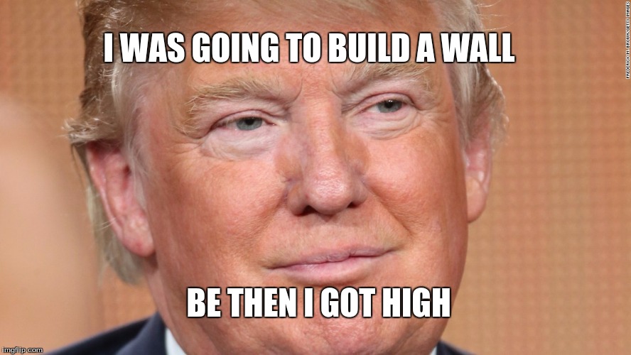 He's using dank wallsssss | I WAS GOING TO BUILD A WALL; BE THEN I GOT HIGH | image tagged in donald trump,the wall | made w/ Imgflip meme maker