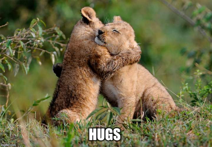 HUGS | made w/ Imgflip meme maker