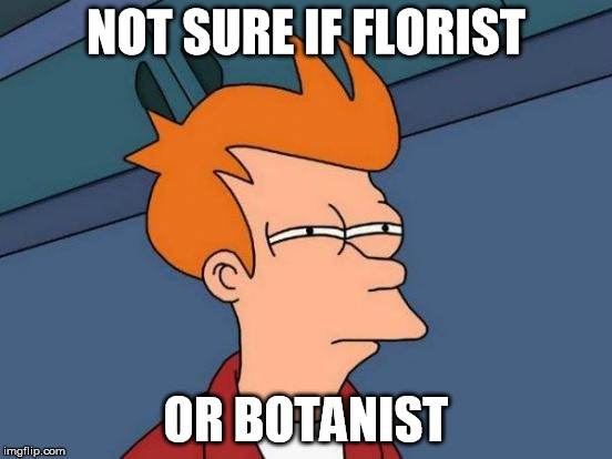 Futurama Fry Meme | NOT SURE IF FLORIST OR BOTANIST | image tagged in memes,futurama fry | made w/ Imgflip meme maker