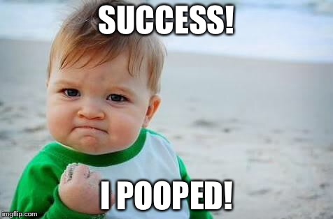 Fist pump baby | SUCCESS! I POOPED! | image tagged in fist pump baby | made w/ Imgflip meme maker