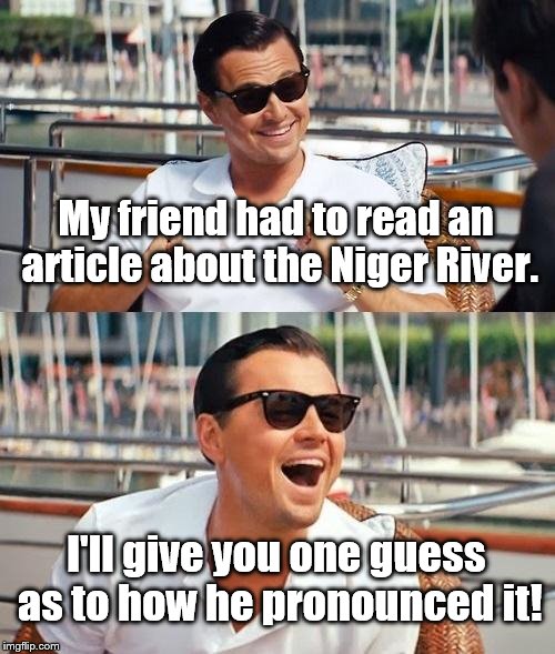 Leonardo Dicaprio Wolf Of Wall Street | My friend had to read an article about the Niger River. I'll give you one guess as to how he pronounced it! | image tagged in memes,leonardo dicaprio wolf of wall street | made w/ Imgflip meme maker