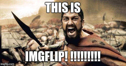 Sparta Leonidas | THIS IS; IMGFLIP! !!!!!!!!! | image tagged in memes,sparta leonidas | made w/ Imgflip meme maker