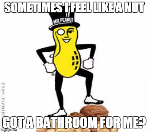 SOMETIMES I FEEL LIKE A NUT GOT A BATHROOM FOR ME? | made w/ Imgflip meme maker