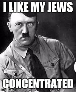 Adolf Hitler | I LIKE MY JEWS; CONCENTRATED | image tagged in adolf hitler | made w/ Imgflip meme maker