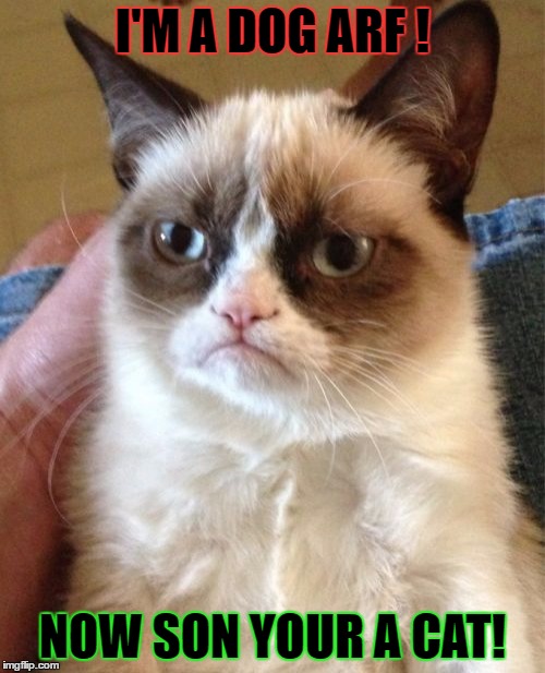 Grumpy Cat | I'M A DOG ARF ! NOW SON YOUR A CAT! | image tagged in memes,grumpy cat | made w/ Imgflip meme maker