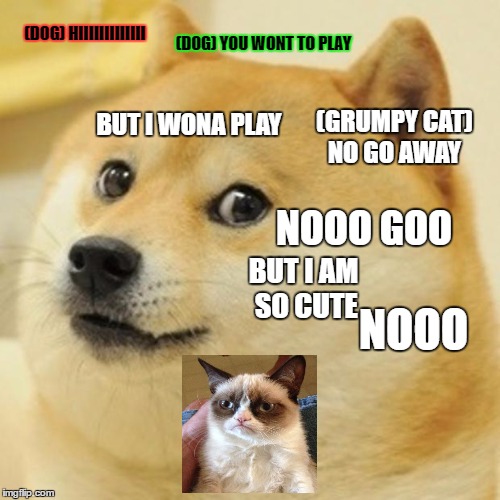 Doge | (DOG) HIIIIIIIIIIIII; (DOG) YOU WONT TO PLAY; (GRUMPY CAT) NO GO AWAY; BUT I WONA PLAY; NOOO GOO; BUT I AM SO CUTE; NOOO | image tagged in memes,doge | made w/ Imgflip meme maker