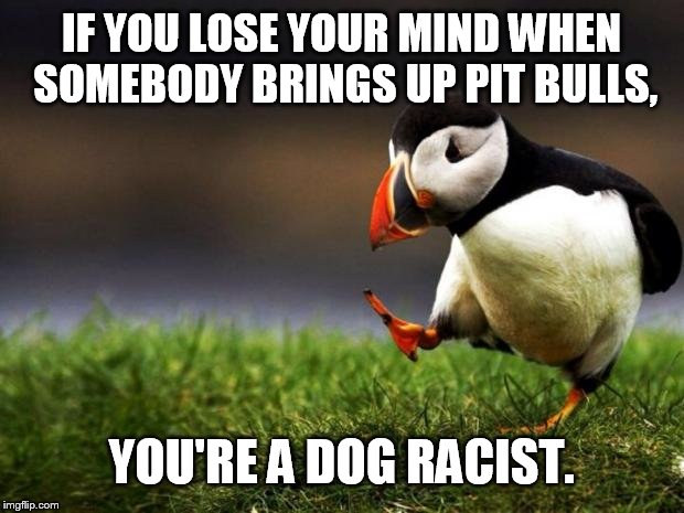 Unpopular Opinion Puffin Meme | IF YOU LOSE YOUR MIND WHEN SOMEBODY BRINGS UP PIT BULLS, YOU'RE A DOG RACIST. | image tagged in memes,unpopular opinion puffin | made w/ Imgflip meme maker