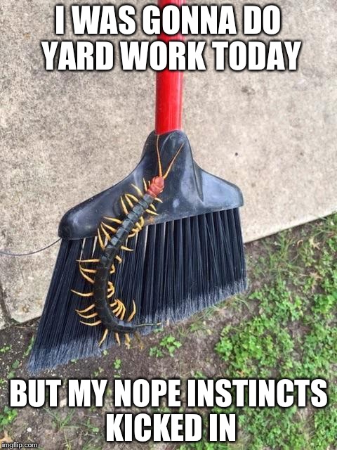 Centi-Nope | I WAS GONNA DO YARD WORK TODAY; BUT MY NOPE INSTINCTS KICKED IN | image tagged in centi-nope | made w/ Imgflip meme maker