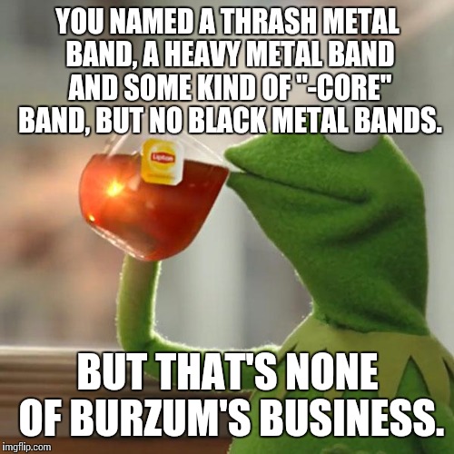 But That's None Of My Business Meme | YOU NAMED A THRASH METAL BAND, A HEAVY METAL BAND AND SOME KIND OF "-CORE" BAND, BUT NO BLACK METAL BANDS. BUT THAT'S NONE OF BURZUM'S BUSIN | image tagged in memes,but thats none of my business,kermit the frog | made w/ Imgflip meme maker