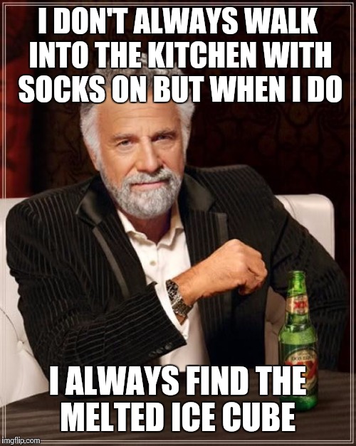 The Most Interesting Man In The World Meme | I DON'T ALWAYS WALK INTO THE KITCHEN WITH SOCKS ON BUT WHEN I DO; I ALWAYS FIND THE MELTED ICE CUBE | image tagged in memes,the most interesting man in the world | made w/ Imgflip meme maker