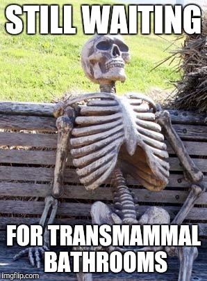 Waiting Skeleton Meme | STILL WAITING FOR TRANSMAMMAL BATHROOMS | image tagged in memes,waiting skeleton | made w/ Imgflip meme maker