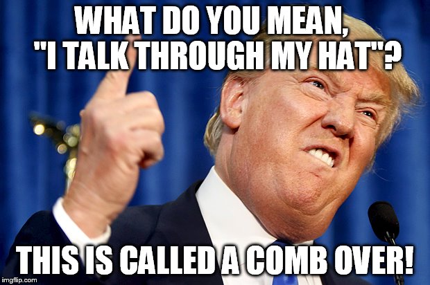 Donald Trump | WHAT DO YOU MEAN,  "I TALK THROUGH MY HAT"? THIS IS CALLED A COMB OVER! | image tagged in donald trump | made w/ Imgflip meme maker