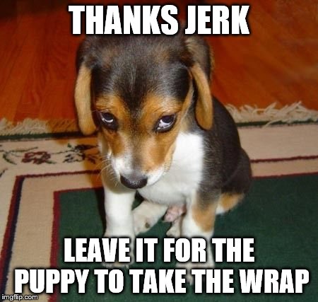 THANKS JERK LEAVE IT FOR THE PUPPY TO TAKE THE WRAP | made w/ Imgflip meme maker
