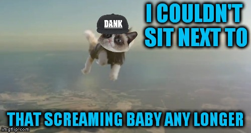 Air Grump | I COULDN'T SIT NEXT TO; THAT SCREAMING BABY ANY LONGER | image tagged in grumpy cat,skydiving,get out | made w/ Imgflip meme maker