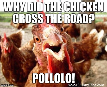 Chicken | WHY DID THE CHICKEN CROSS THE ROAD? POLLOLO! | image tagged in chicken | made w/ Imgflip meme maker