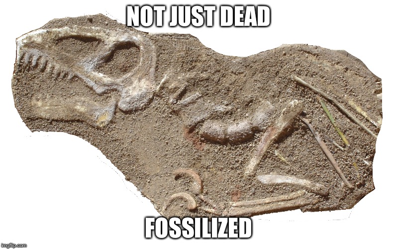 NOT JUST DEAD FOSSILIZED | image tagged in raptor fossil | made w/ Imgflip meme maker