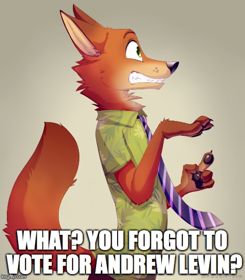 Zootopia Fox | WHAT? YOU FORGOT TO VOTE FOR ANDREW LEVIN? | image tagged in zootopia fox | made w/ Imgflip meme maker