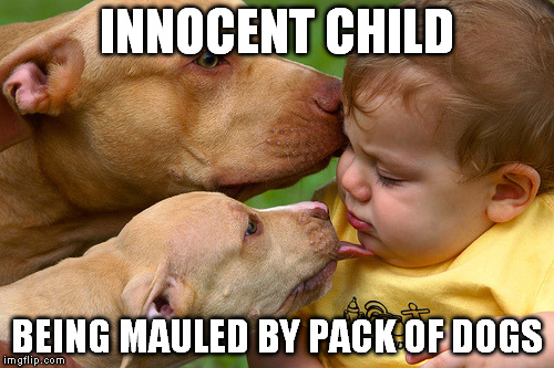 INNOCENT CHILD BEING MAULED BY PACK OF DOGS | made w/ Imgflip meme maker