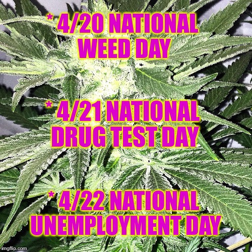 Just Remember.... | * 4/20 NATIONAL WEED DAY; * 4/21 NATIONAL DRUG TEST DAY; * 4/22 NATIONAL UNEMPLOYMENT DAY | image tagged in 420,weed,memes,funny memes | made w/ Imgflip meme maker