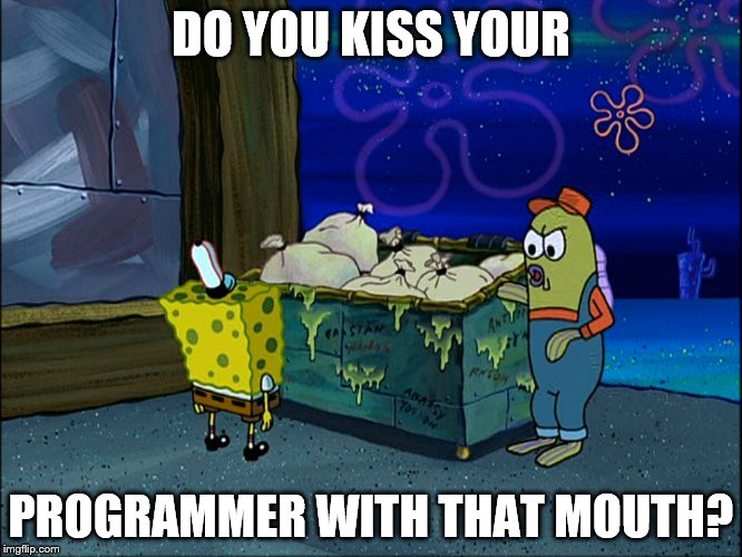 DO YOU KISS YOUR PROGRAMMER WITH THAT MOUTH? | made w/ Imgflip meme maker