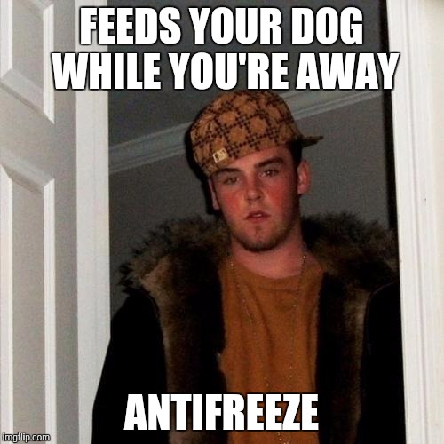 Sorry I killed your dog brah, but can I borrow 10 bucks? | FEEDS YOUR DOG WHILE YOU'RE AWAY; ANTIFREEZE | image tagged in memes,scumbag steve | made w/ Imgflip meme maker