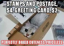 Cute Kittens | STAMPS AND POSTAGE, $4. GREETING CARD, $2. PERFECTLY BOXED CUTENESS, PRICELESS. | image tagged in cute kittens | made w/ Imgflip meme maker