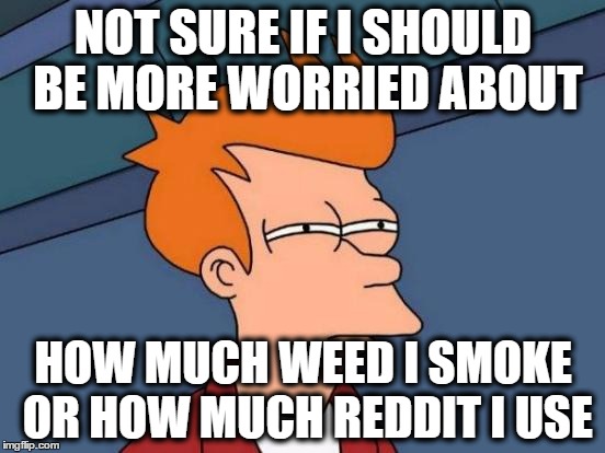 Futurama Fry | NOT SURE IF I SHOULD BE MORE WORRIED ABOUT; HOW MUCH WEED I SMOKE OR HOW MUCH REDDIT I USE | image tagged in memes,futurama fry,AdviceAnimals | made w/ Imgflip meme maker