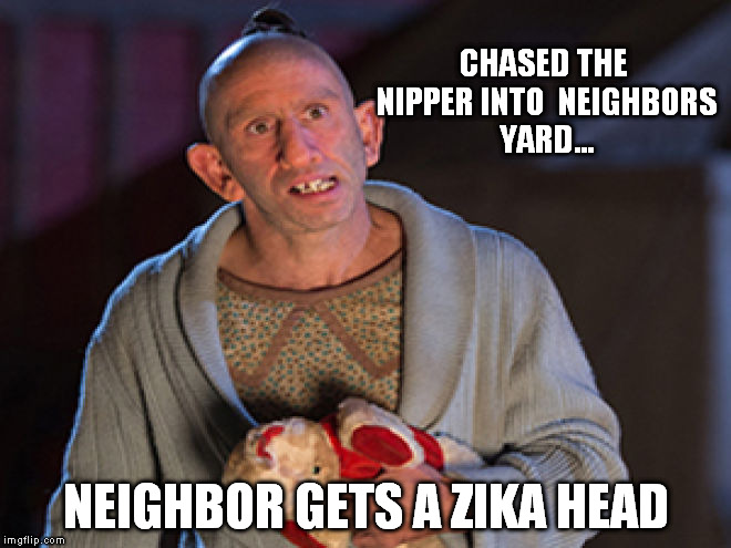 CHASED THE NIPPER INTO  NEIGHBORS YARD... NEIGHBOR GETS A ZIKA HEAD | made w/ Imgflip meme maker