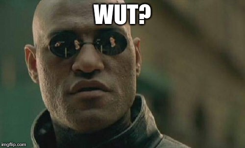 Matrix Morpheus Meme | WUT? | image tagged in memes,matrix morpheus | made w/ Imgflip meme maker