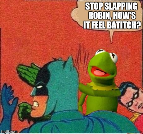 Kermit saves Robin | STOP SLAPPING ROBIN, HOW'S IT FEEL BATITCH? | image tagged in kermit saves robin | made w/ Imgflip meme maker