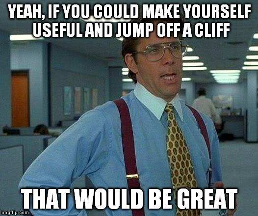 That Would Be Great | YEAH, IF YOU COULD MAKE YOURSELF USEFUL AND JUMP OFF A CLIFF; THAT WOULD BE GREAT | image tagged in memes,that would be great | made w/ Imgflip meme maker