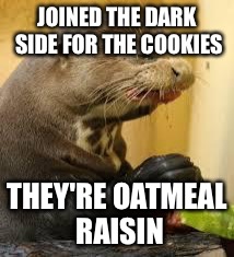 Disgusted Otter |  JOINED THE DARK SIDE FOR THE COOKIES; THEY'RE OATMEAL RAISIN | image tagged in disgusted otter | made w/ Imgflip meme maker