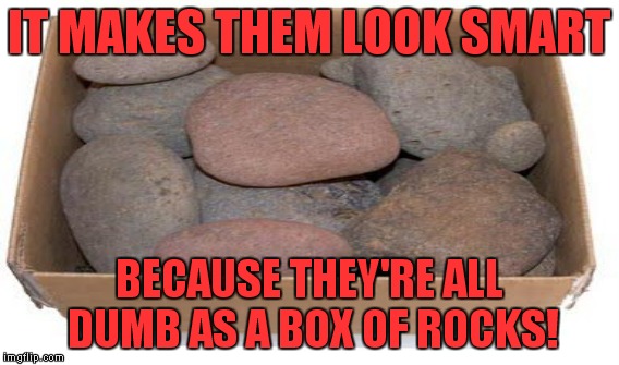 IT MAKES THEM LOOK SMART BECAUSE THEY'RE ALL DUMB AS A BOX OF ROCKS! | made w/ Imgflip meme maker