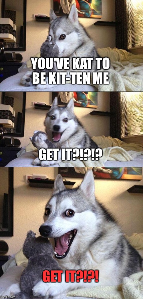 Bad Pun Dog | YOU'VE KAT TO BE KIT-TEN ME; GET IT?!?!? GET IT?!?! | image tagged in memes,bad pun dog | made w/ Imgflip meme maker