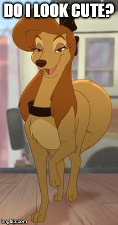 Do I Look Cute? | DO I LOOK CUTE? | image tagged in dixie flirty look,memes,disney,the fox and the hound 2,reba mcentire,dog | made w/ Imgflip meme maker