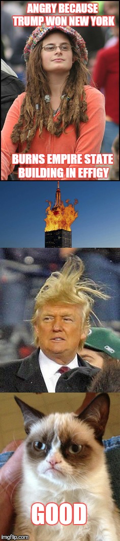 College Liberal Activism. | ANGRY BECAUSE TRUMP WON NEW YORK; BURNS EMPIRE STATE BUILDING IN EFFIGY; GOOD | image tagged in trump 2016,college liberal,grumpy cat,donald trump,donald trumph hair,election 2016 | made w/ Imgflip meme maker