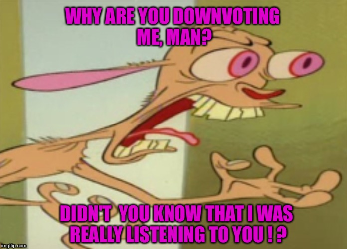 MISINTERPRETATION ? | WHY ARE YOU DOWNVOTING ME, MAN? DIDN'T  YOU KNOW THAT I WAS REALLY LISTENING TO YOU ! ? | image tagged in ren hoek dont do it | made w/ Imgflip meme maker