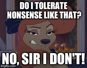 Do I Tolerate Nonsense Like That? |  DO I TOLERATE NONSENSE LIKE THAT? NO, SIR I DON'T! | image tagged in dixie means business,memes,disney,the fox and the hound 2,reba mcentire,dog | made w/ Imgflip meme maker