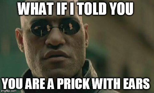 Matrix Morpheus | WHAT IF I TOLD YOU; YOU ARE A PRICK WITH EARS | image tagged in memes,matrix morpheus | made w/ Imgflip meme maker