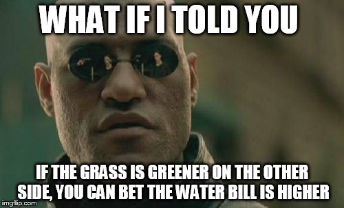Matrix Morpheus | WHAT IF I TOLD YOU; IF THE GRASS IS GREENER ON THE OTHER SIDE, YOU CAN BET THE WATER BILL IS HIGHER | image tagged in memes,matrix morpheus | made w/ Imgflip meme maker