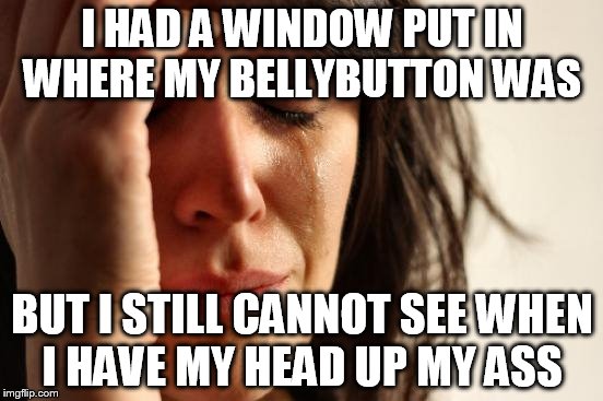 First World Problems | I HAD A WINDOW PUT IN WHERE MY BELLYBUTTON WAS; BUT I STILL CANNOT SEE WHEN I HAVE MY HEAD UP MY ASS | image tagged in memes,first world problems | made w/ Imgflip meme maker