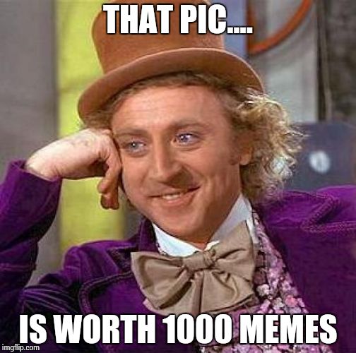 Creepy Condescending Wonka Meme | THAT PIC.... IS WORTH 1000 MEMES | image tagged in memes,creepy condescending wonka | made w/ Imgflip meme maker