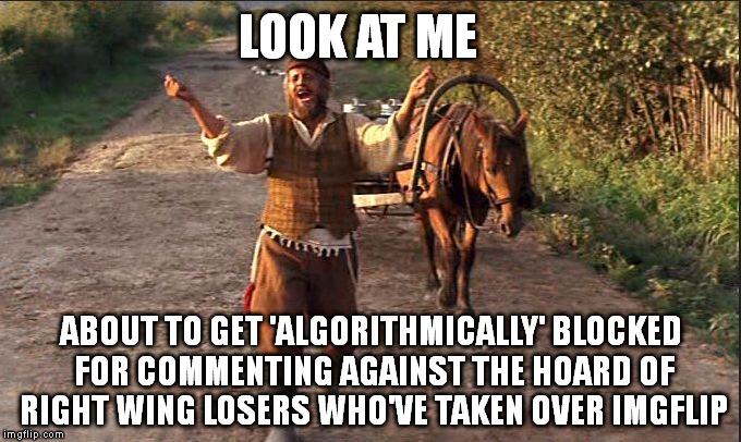 Fiddler on TheRoof | LOOK AT ME; ABOUT TO GET 'ALGORITHMICALLY' BLOCKED FOR COMMENTING AGAINST THE HOARD OF RIGHT WING LOSERS WHO'VE TAKEN OVER IMGFLIP | image tagged in fiddler on theroof | made w/ Imgflip meme maker